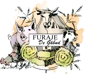 Furaje de Găbud